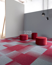 Bloq Connexion Connexion 406 фото 4 | FLOORDEALER